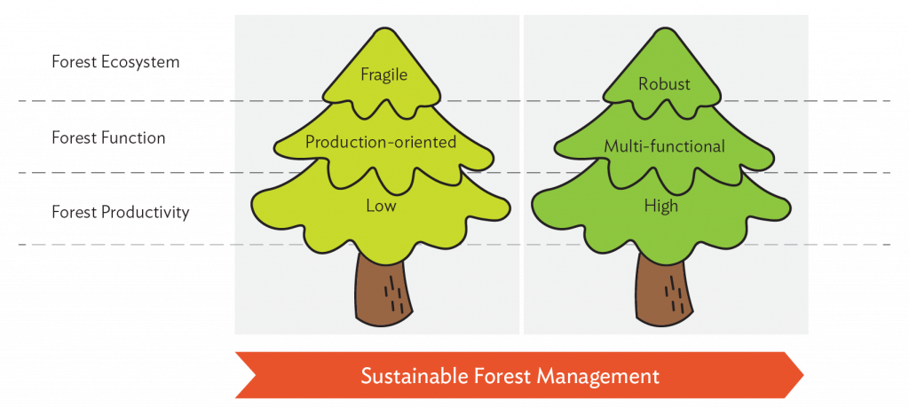 Balancing Ecological And Economic Development Through Sustainable Forest Management Regional