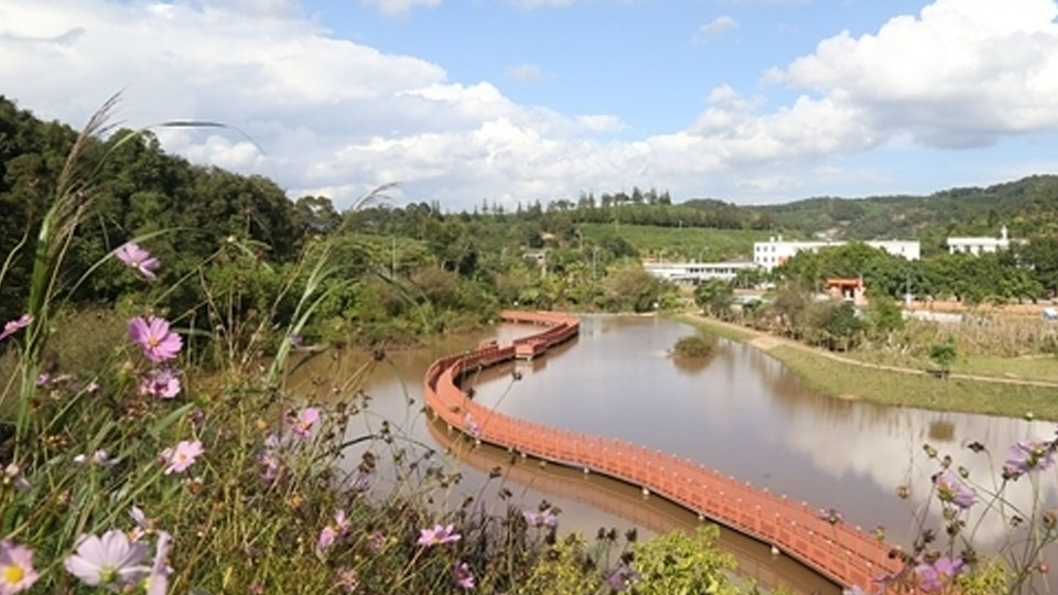 Restoring a River the Natural Way