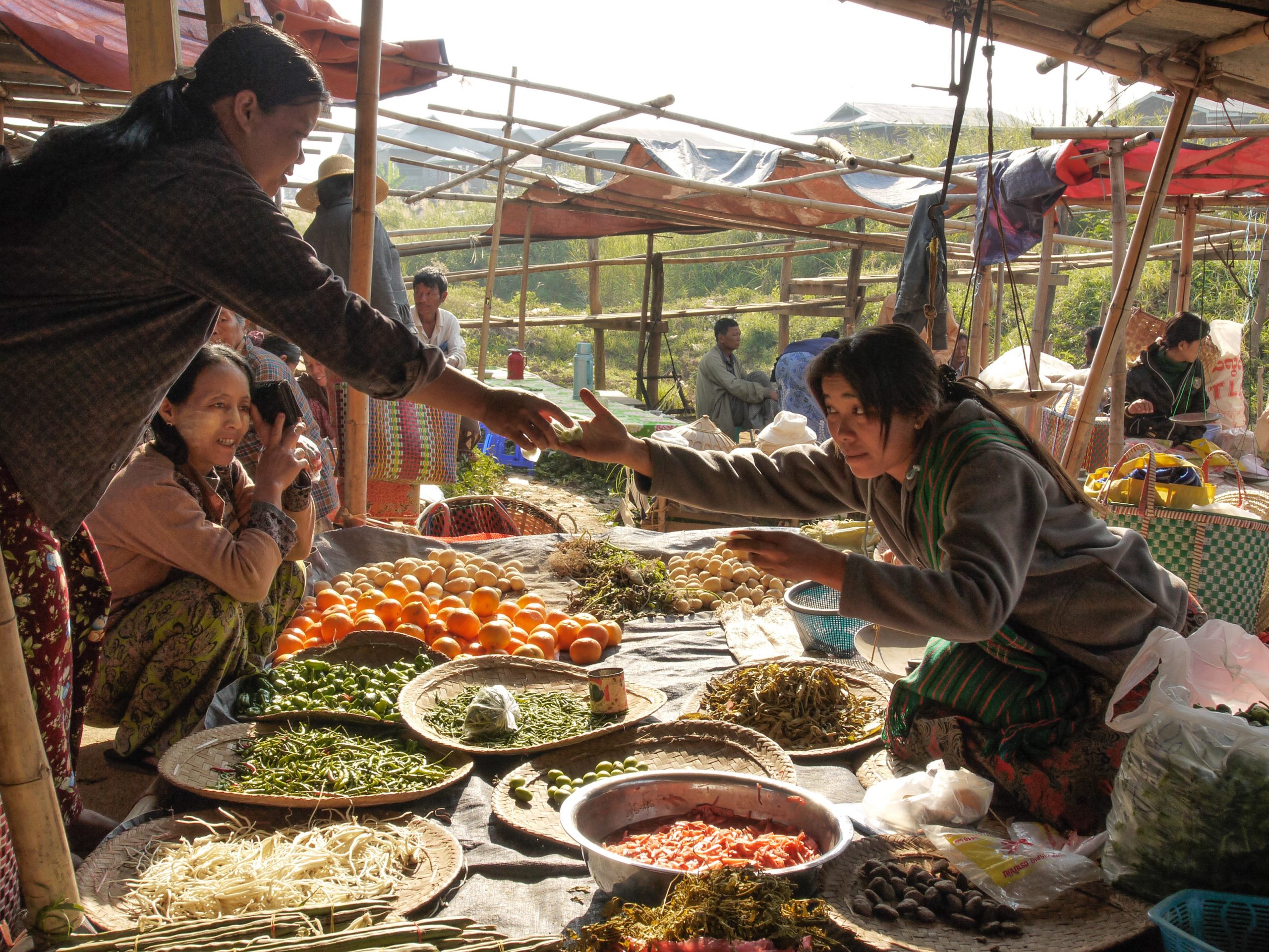 Financing Sustainable and Resilient Food Systems