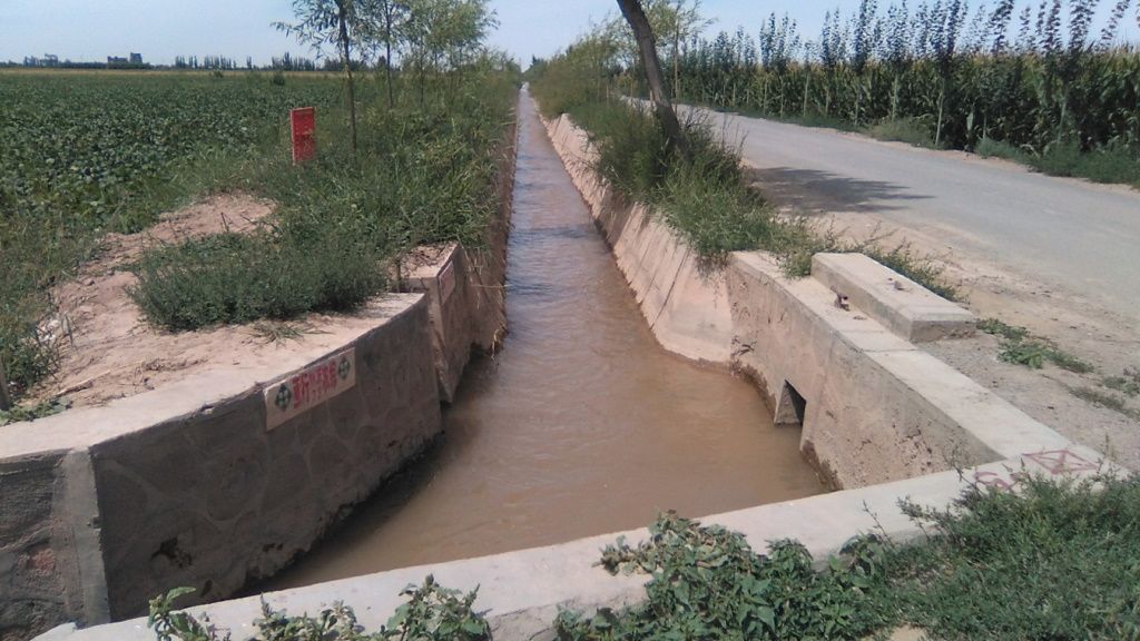 Irrigation with road access through the fields constructed under the project.