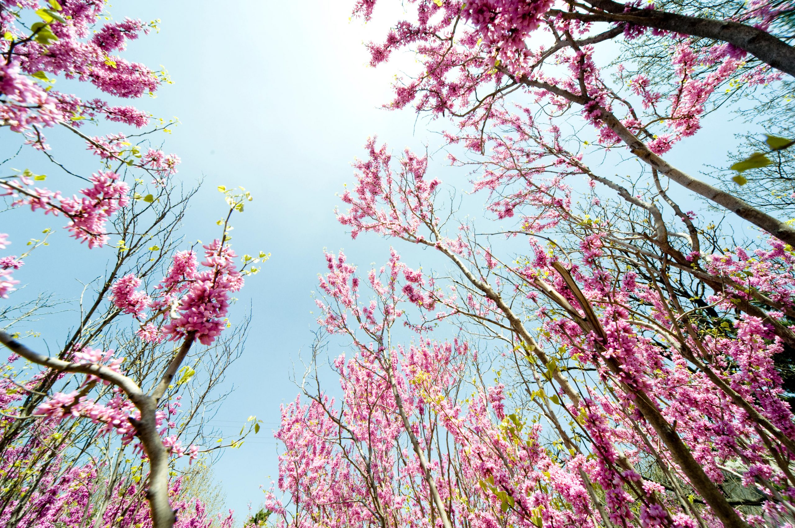 Clean Air: Strengthening Local Synergies to Meet Global Climate Challenges