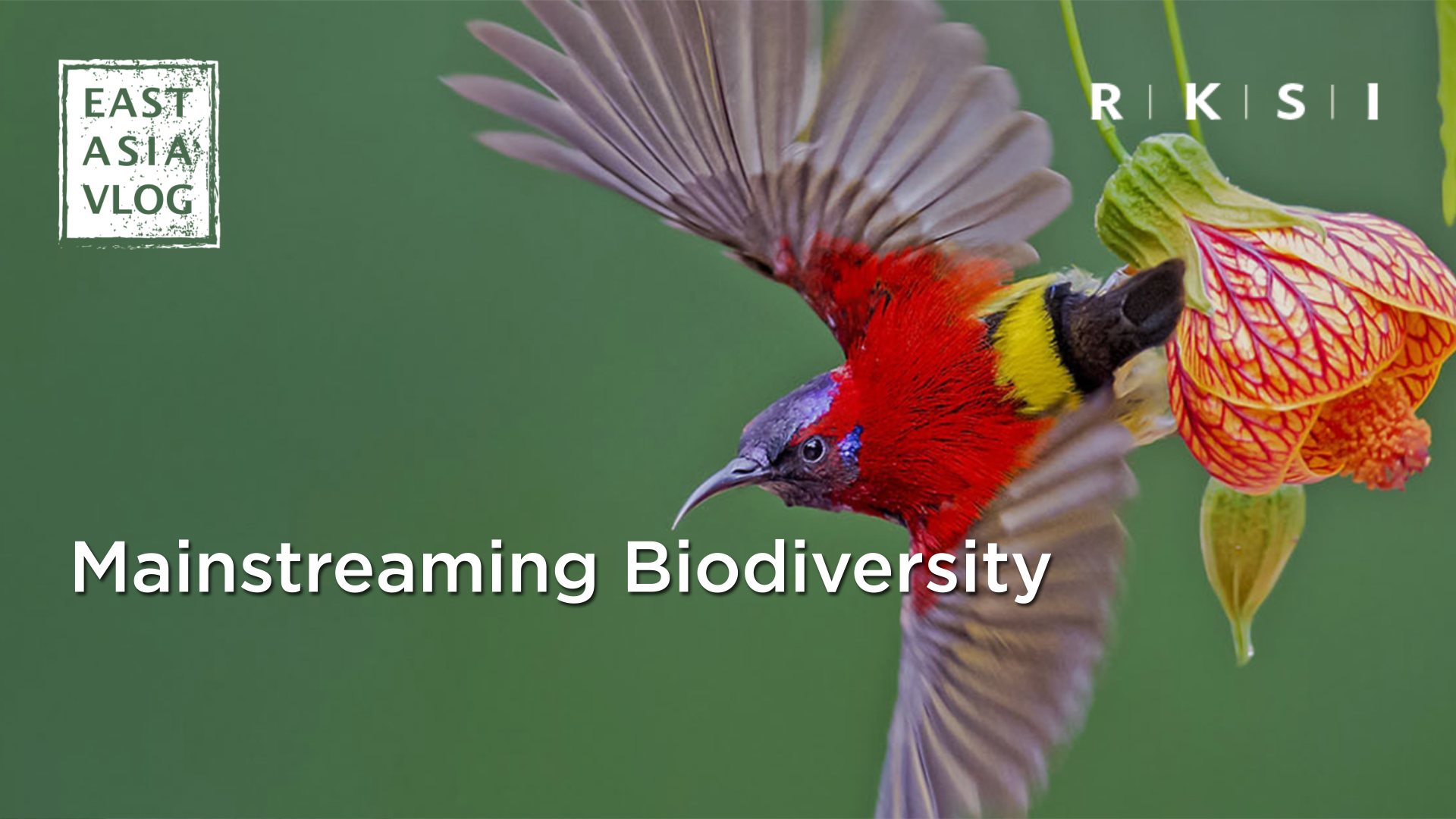 Mass Extinction of Species is Happening, Should We Care? Episode 3. Mainstreaming Biodiversity