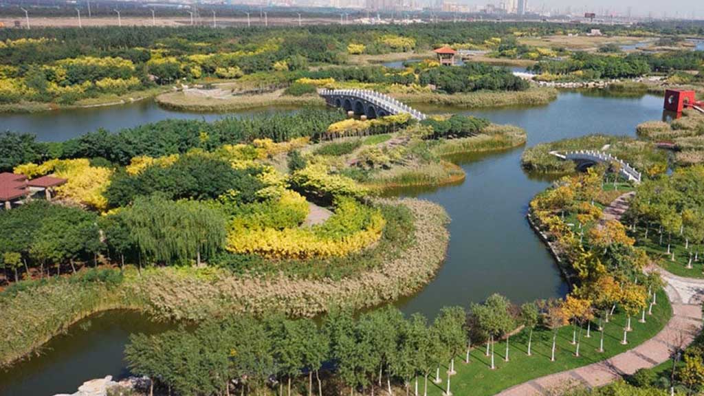 Demonstrating Green Growth at Tianjin’s Coastal Economic Area
