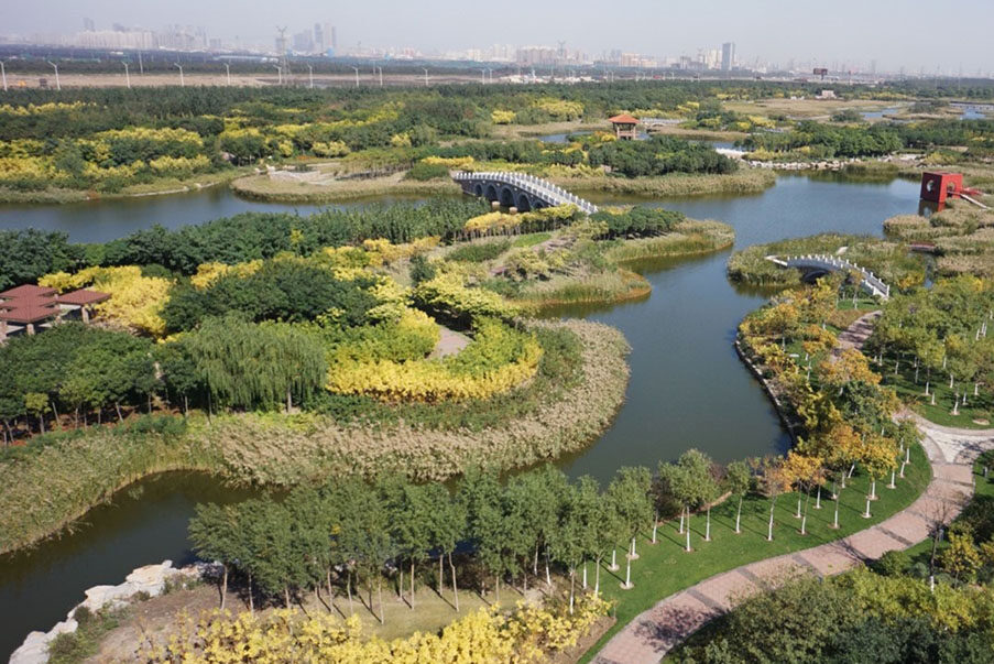 Demonstrating Green Growth at Tianjin’s Coastal Economic Area