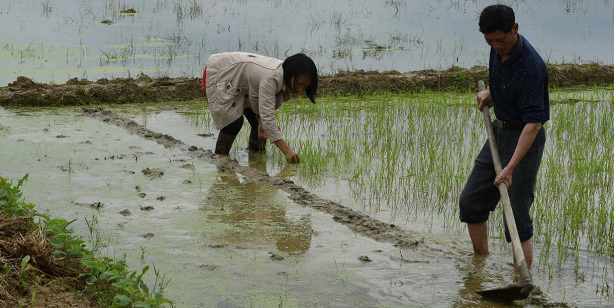 Climate Change Adaptation Strategy of the PRC