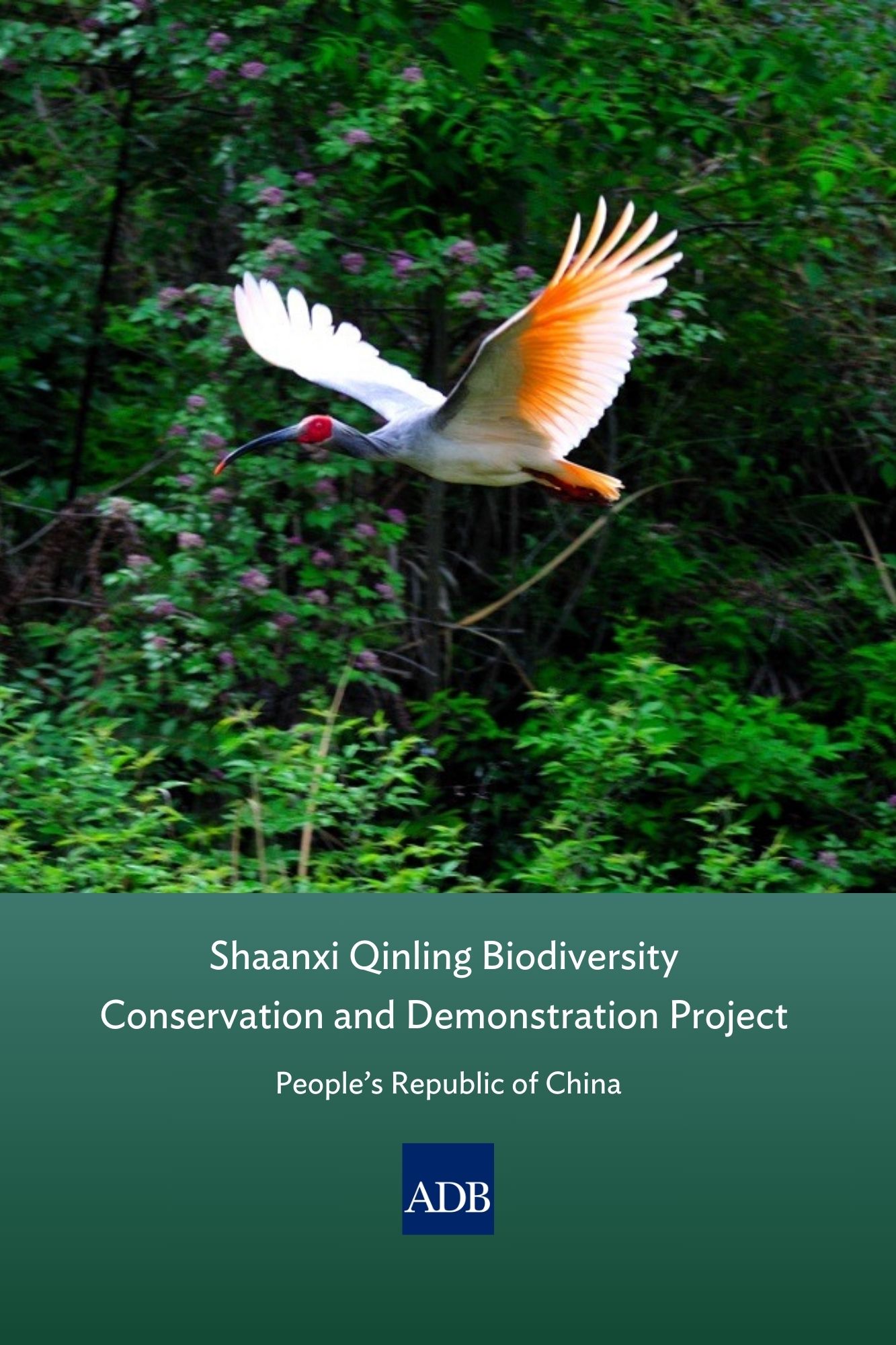 Shaanxi Qinling Biodiversity Conservation and Demonstration Project