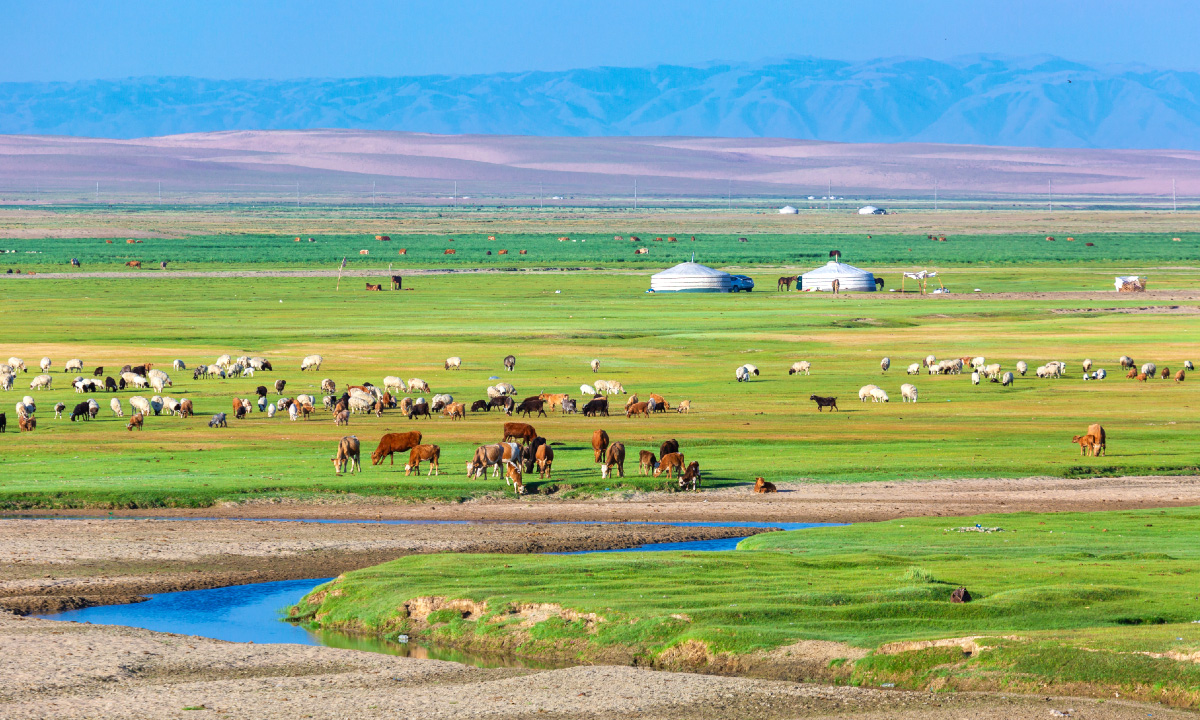 How Stable Financing and Sustainable Grazing Can Restore Grasslands