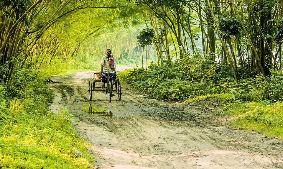4 Reasons Why Reforestation Is Great for Rural Growth